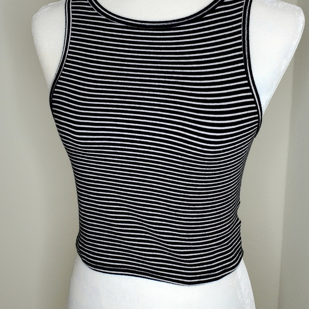 Wilde Fable crop top. Size small